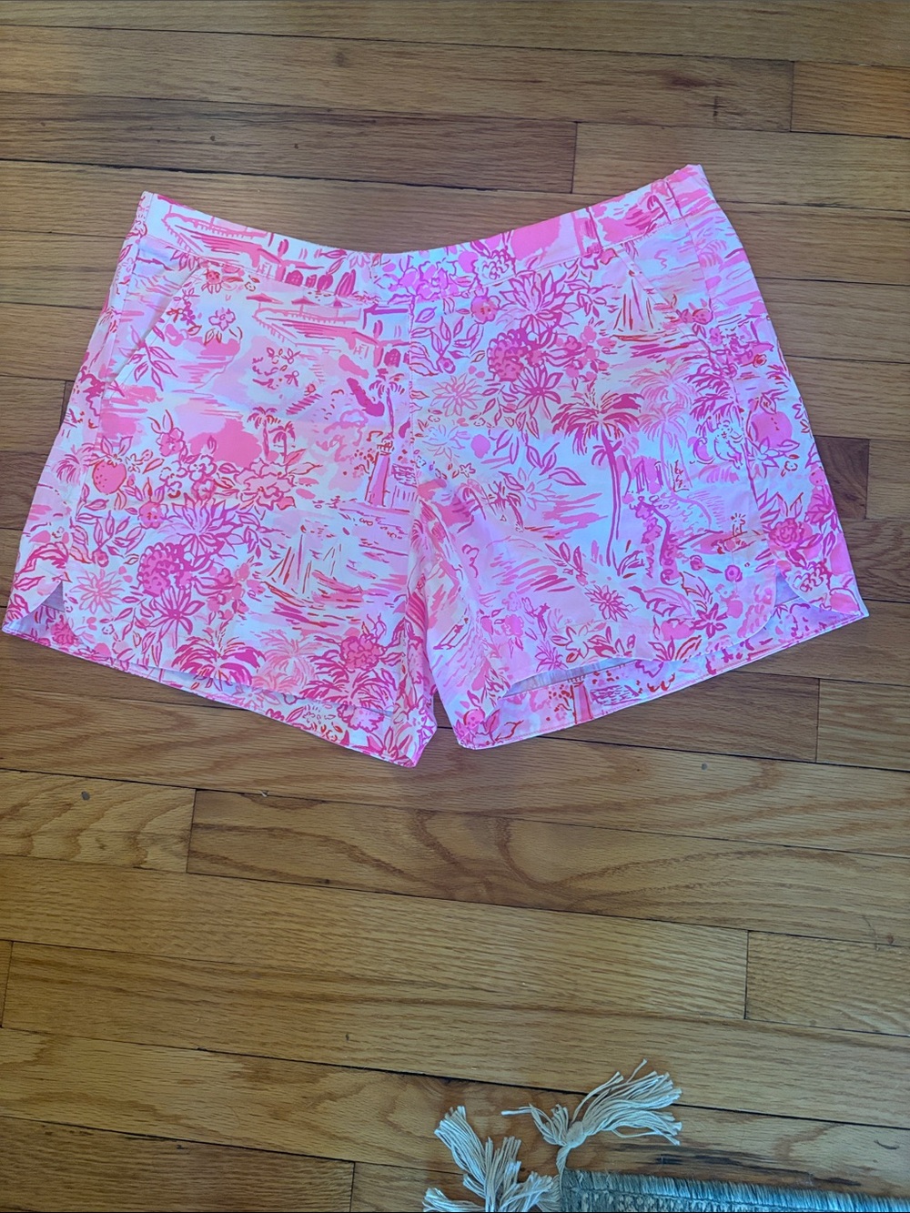 Lilly Pulitzer LARGE Peony Pink SEASIDE SCENE OCEAN VIEW SHORTS Pull-On 5"